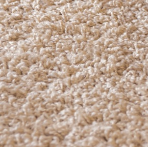 HomePage-OurServices-Carpeting.jpg
